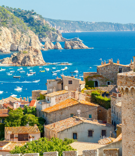 Obtain a Portuguese residence permit within 6 months