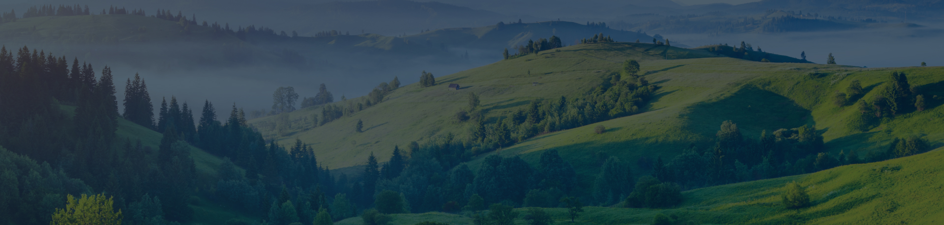 iWorld / The environmental strategy of iWorld