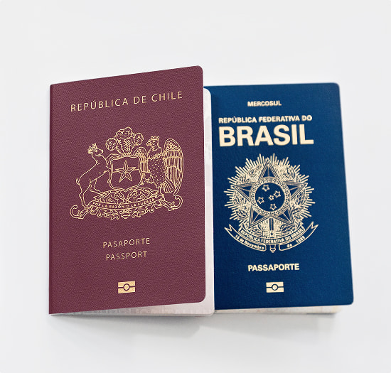 Программы получения гражданства