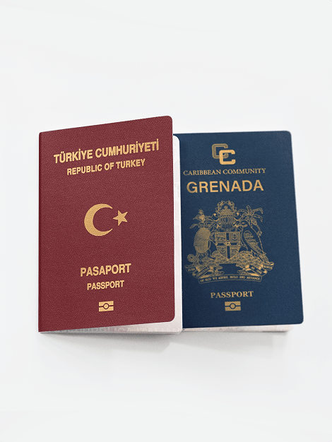 Citizenship programs