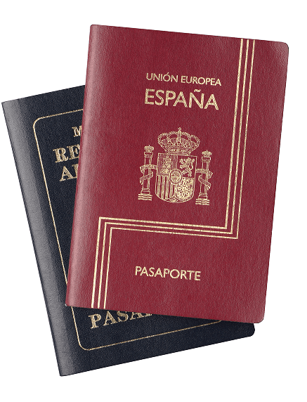 Personalized immigration strategies