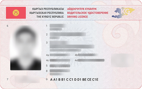 Driver's license