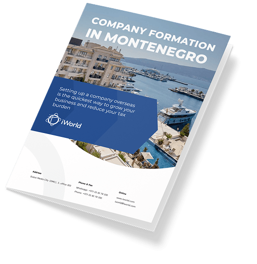  How to ensure a successful company registration in Montenegro