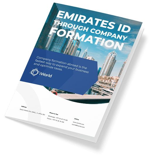 A step-by-step guide to a successful Emirates ID process