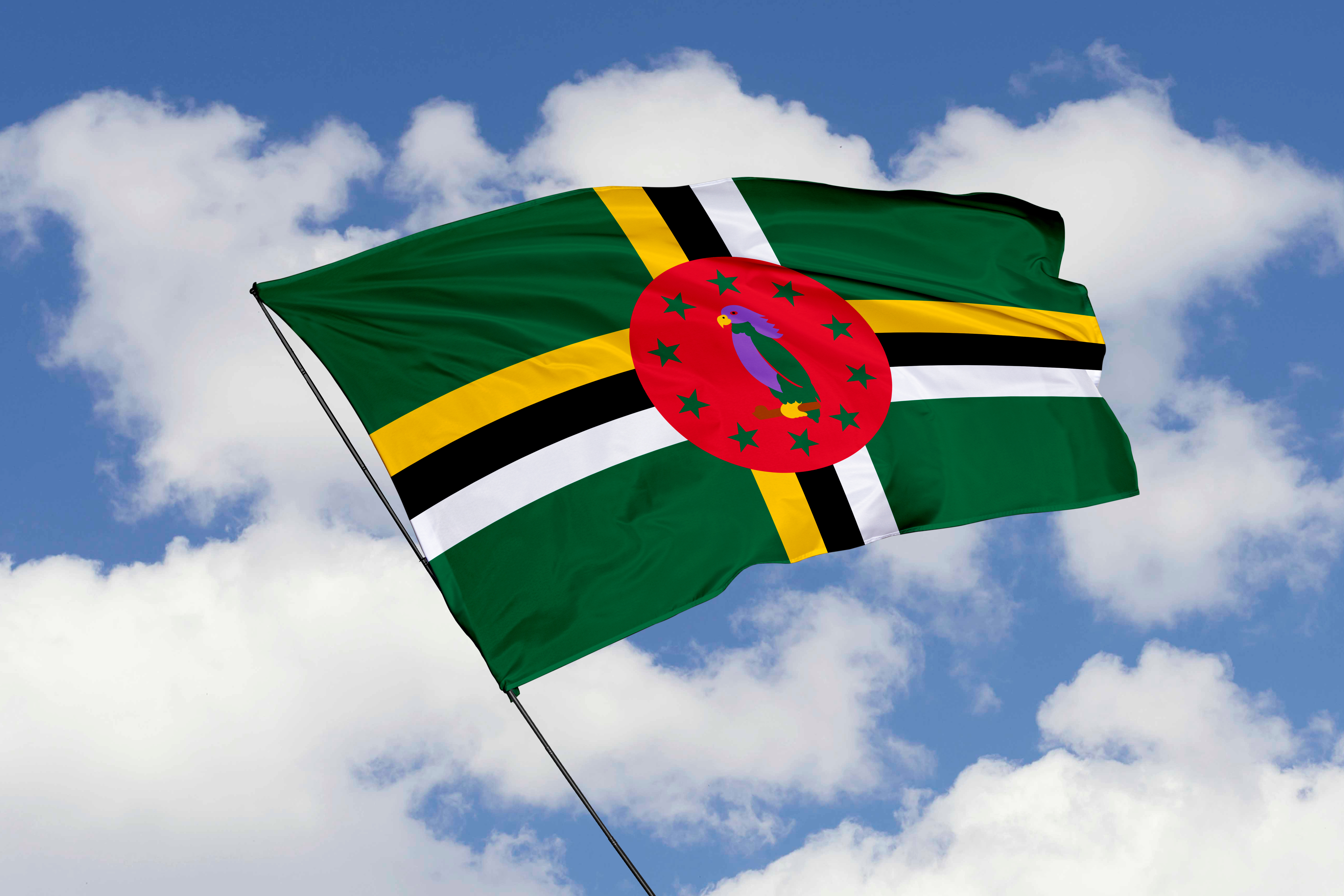 The flag symbolizes Dominica citizenship by investment