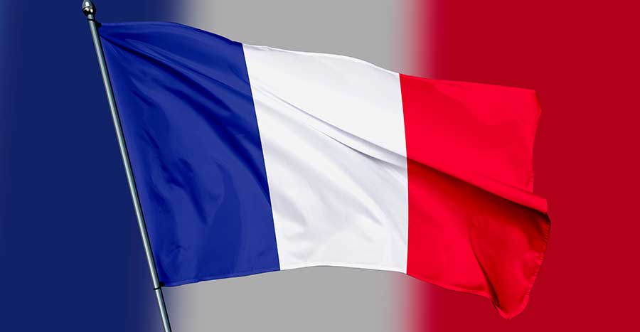 1. Language proficiency requirement for French citizenship application