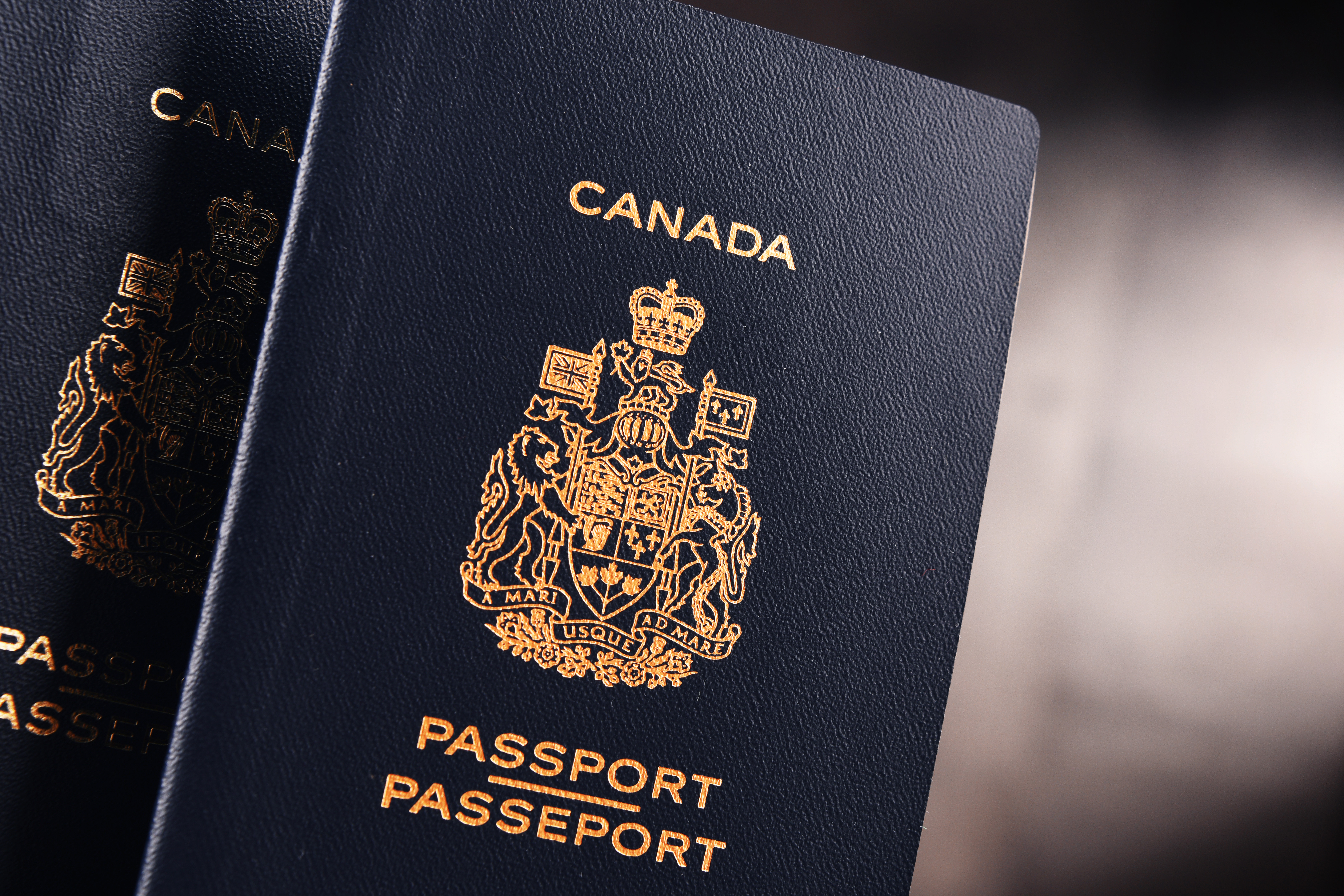 Canadian passport, it can be obtained by self-employed in Canada