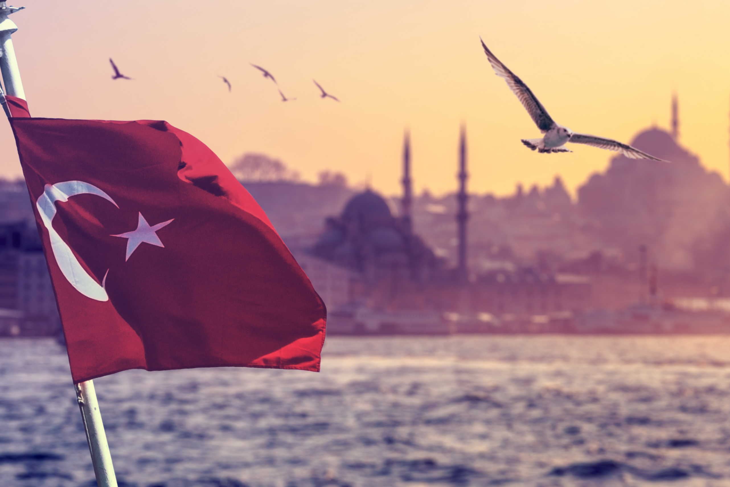 Flag symbolizes Turkish citizenship