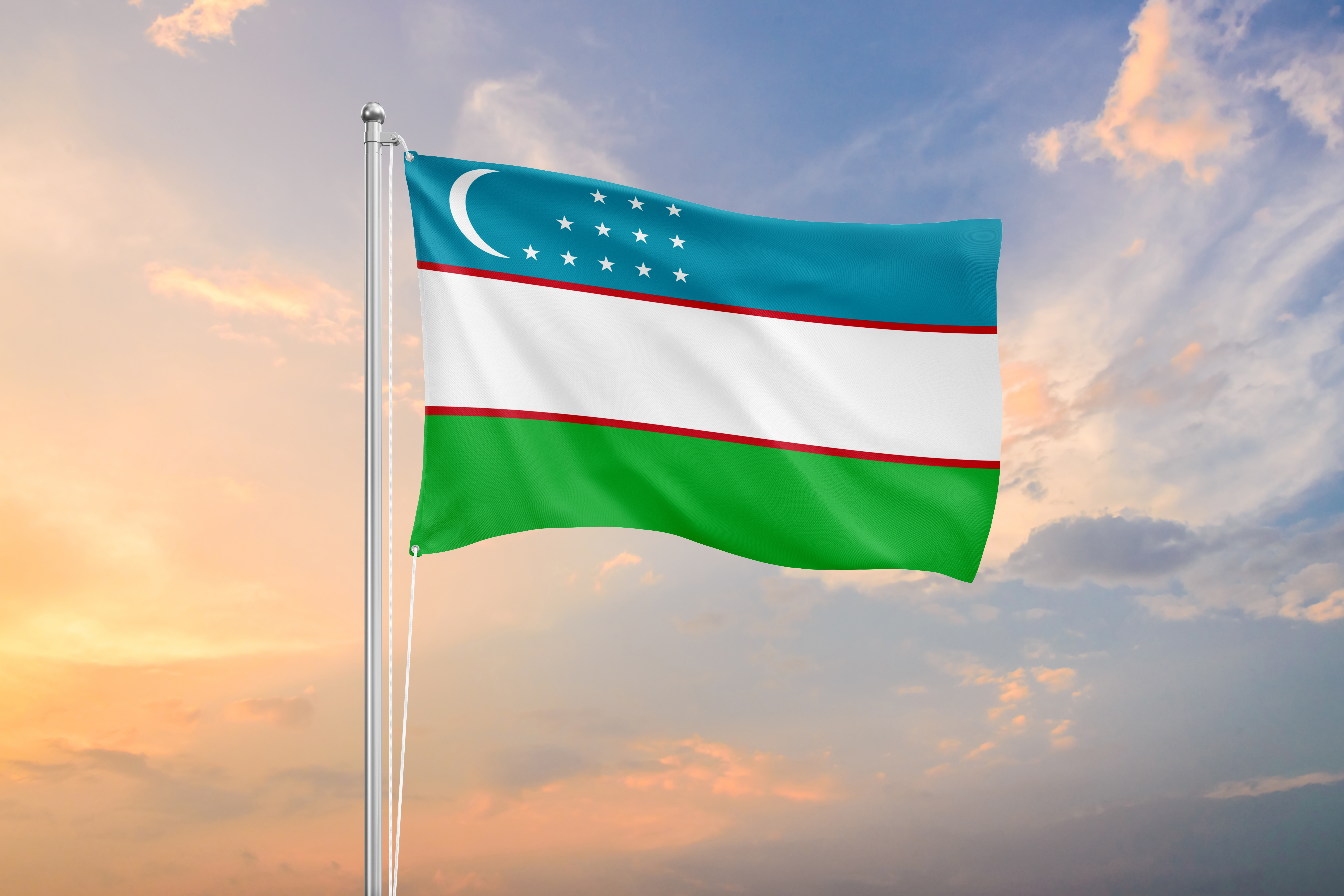 The flag symbolizes the citizenship of Uzbekistan