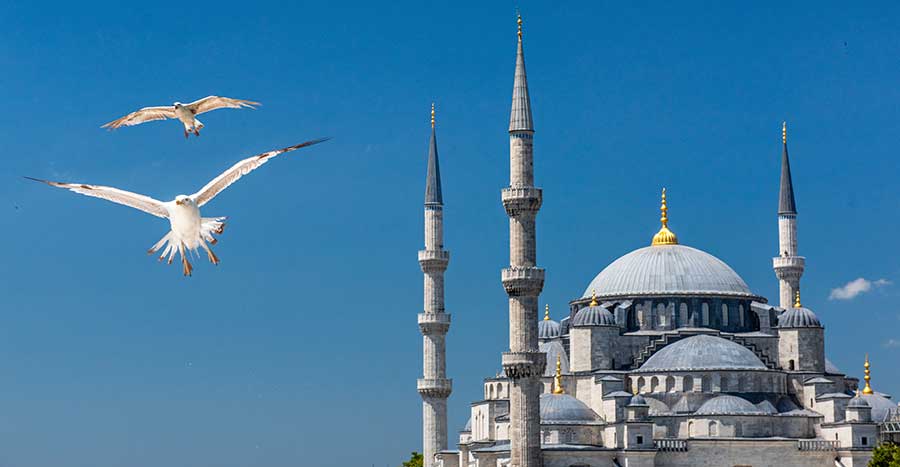 Best Cities to Live in the World: Top Places for Expats - iWorld Ranking