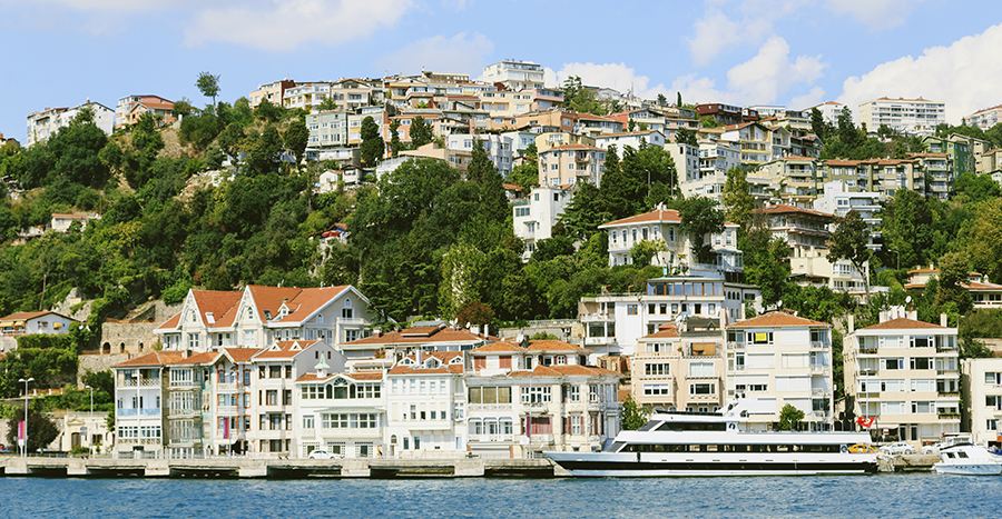 Turkish Citizenship